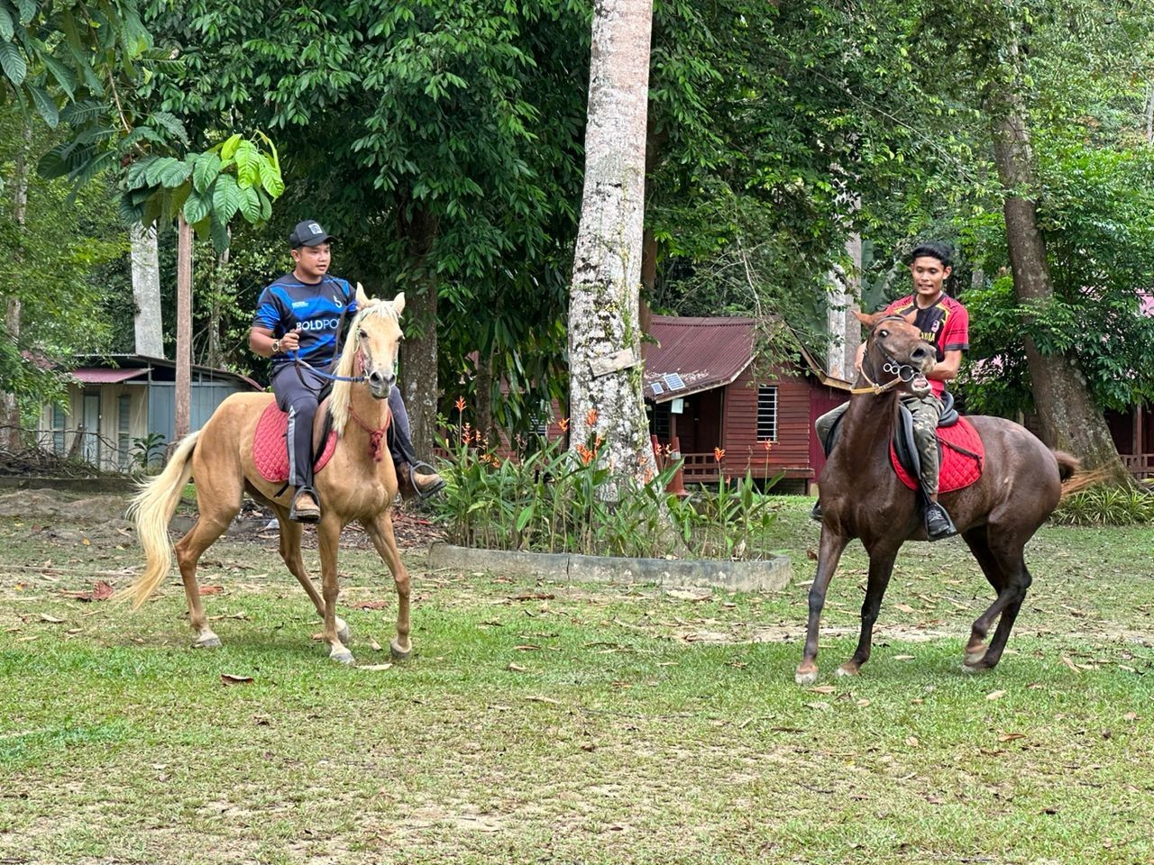 Horse Riding