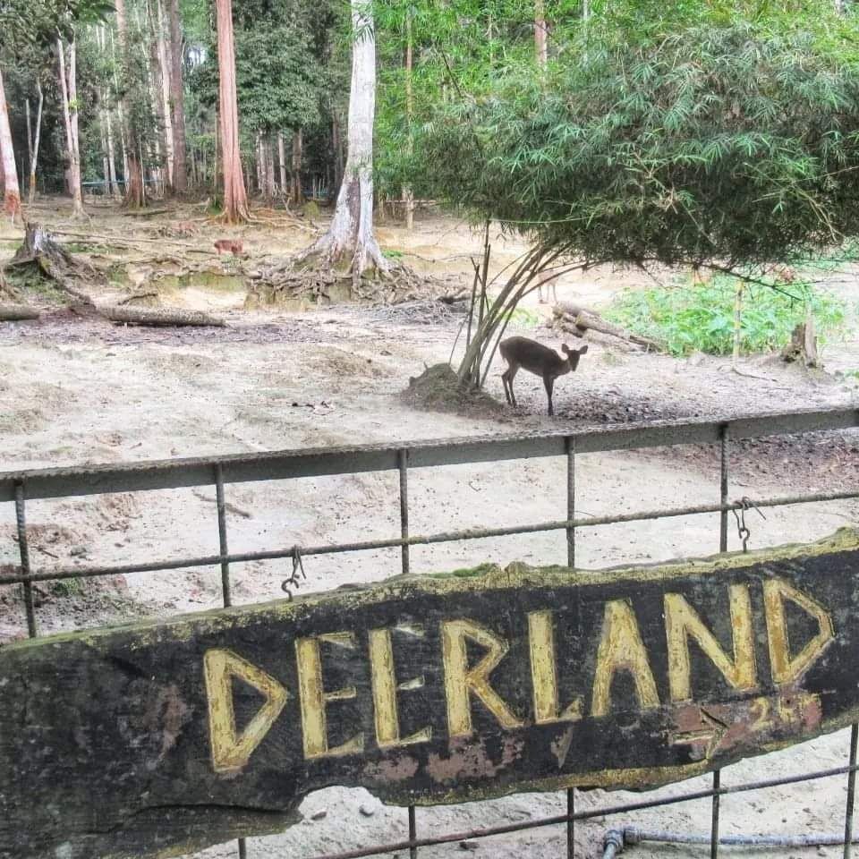 Deerland Park